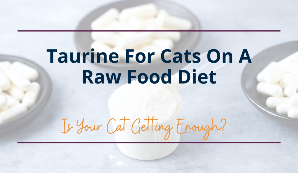 taurine for cats on a raw food diet