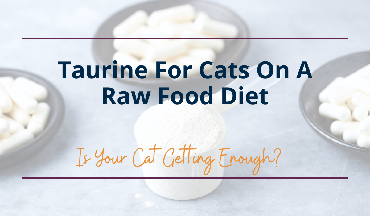 Taurine For Cats On A Raw Food Diet (Is Your Cat Getting Enough