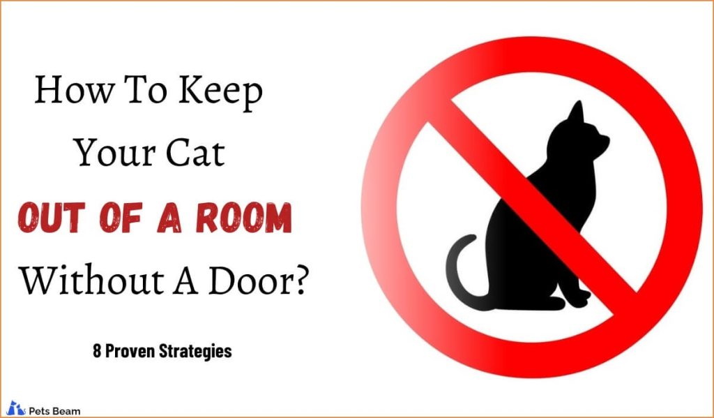 How To Keep Your Cat Out Of A Room Without A Door