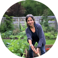 Why Does My Male Dog Leak Fluid? (6 Possible Causes) - PetsBeam.com